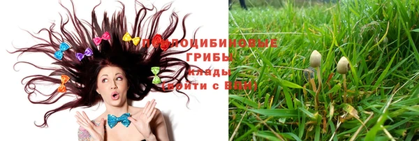 a pvp Кукмор