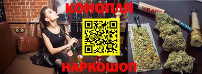 ешки Будённовск