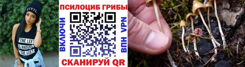 MEGA онион  Екатеринбург  Псилоцибиновые грибы ЛСД 