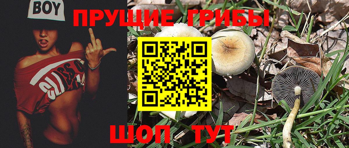 Псилоцибиновые грибы мухоморы  Вход с VPN  Екатеринбург  Галлюциногенные грибы мицелий 