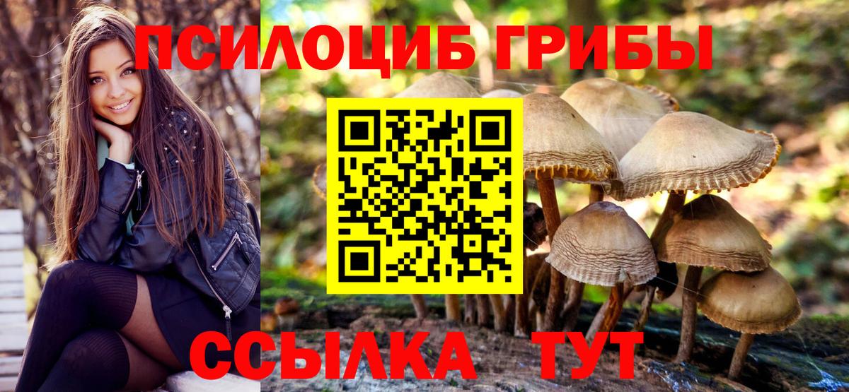 как найти закладки  Екатеринбург  Псилоцибиновые грибы Psilocybe 