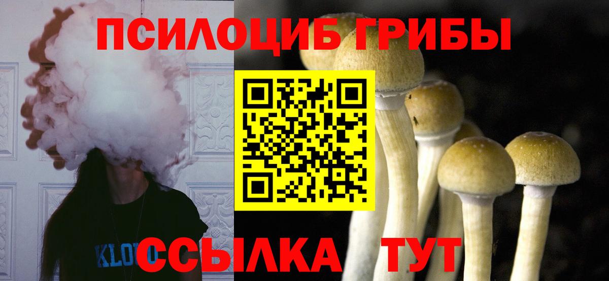 Галлюциногенные грибы мицелий Екатеринбург